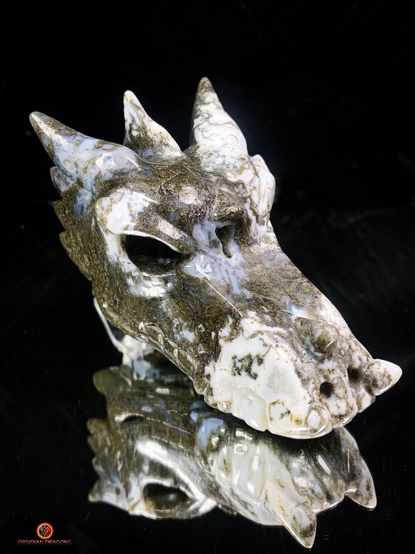 Crâne de Dragon en Agate Mousse - Transformation et Harmonie | obsidian dragons