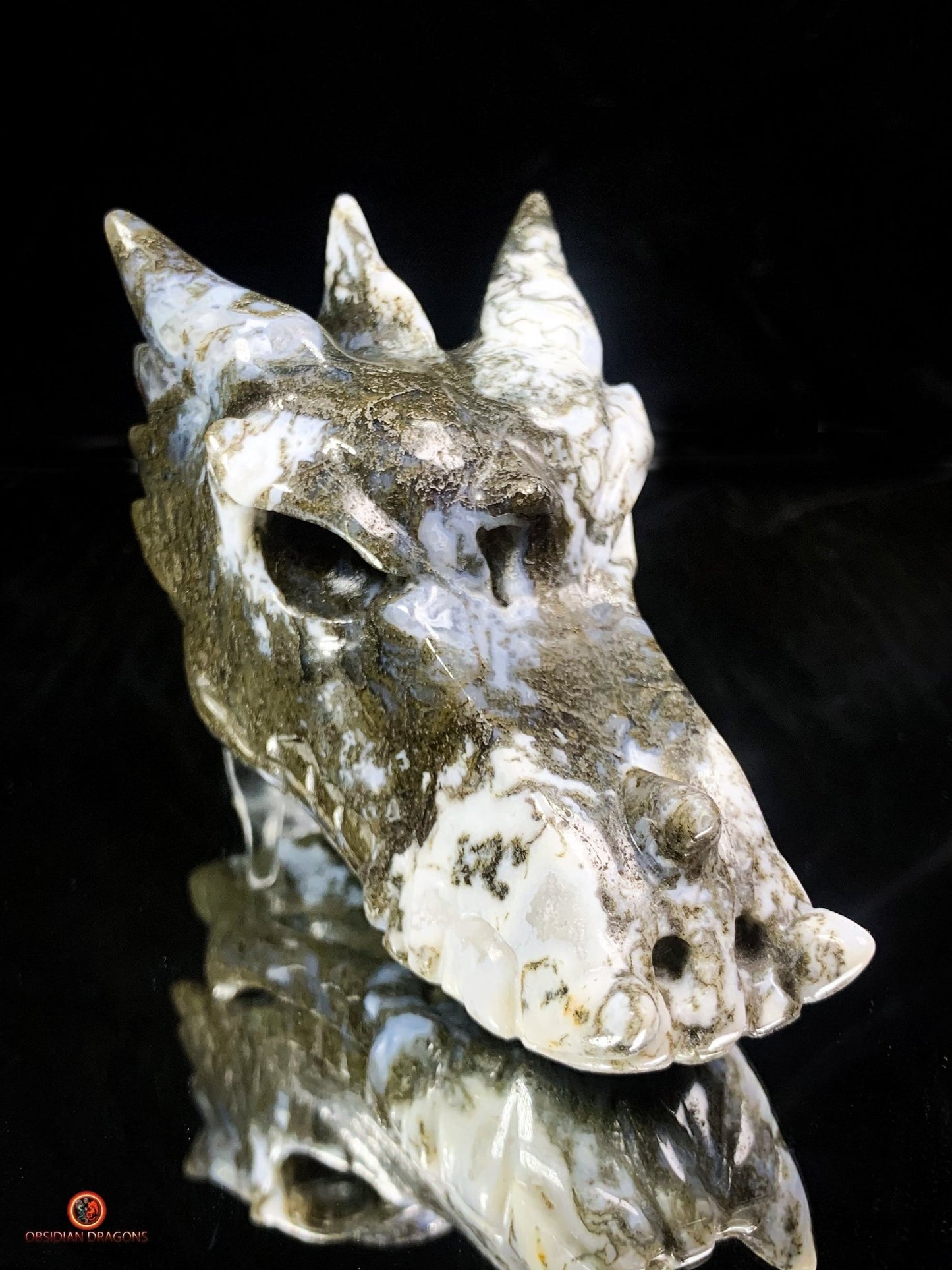 Crâne de Dragon en Agate Mousse - Transformation et Harmonie | obsidian dragons