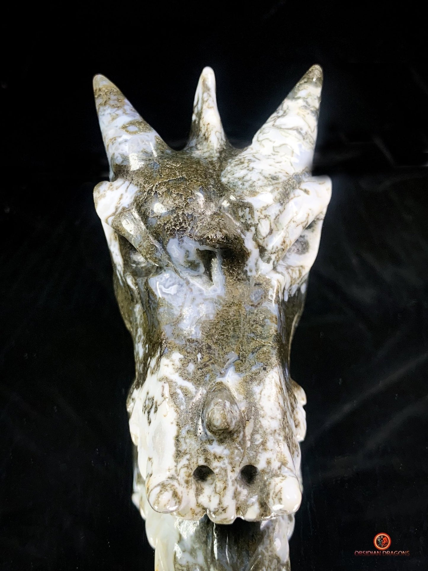 Crâne de Dragon en Agate Mousse - Transformation et Harmonie | obsidian dragons