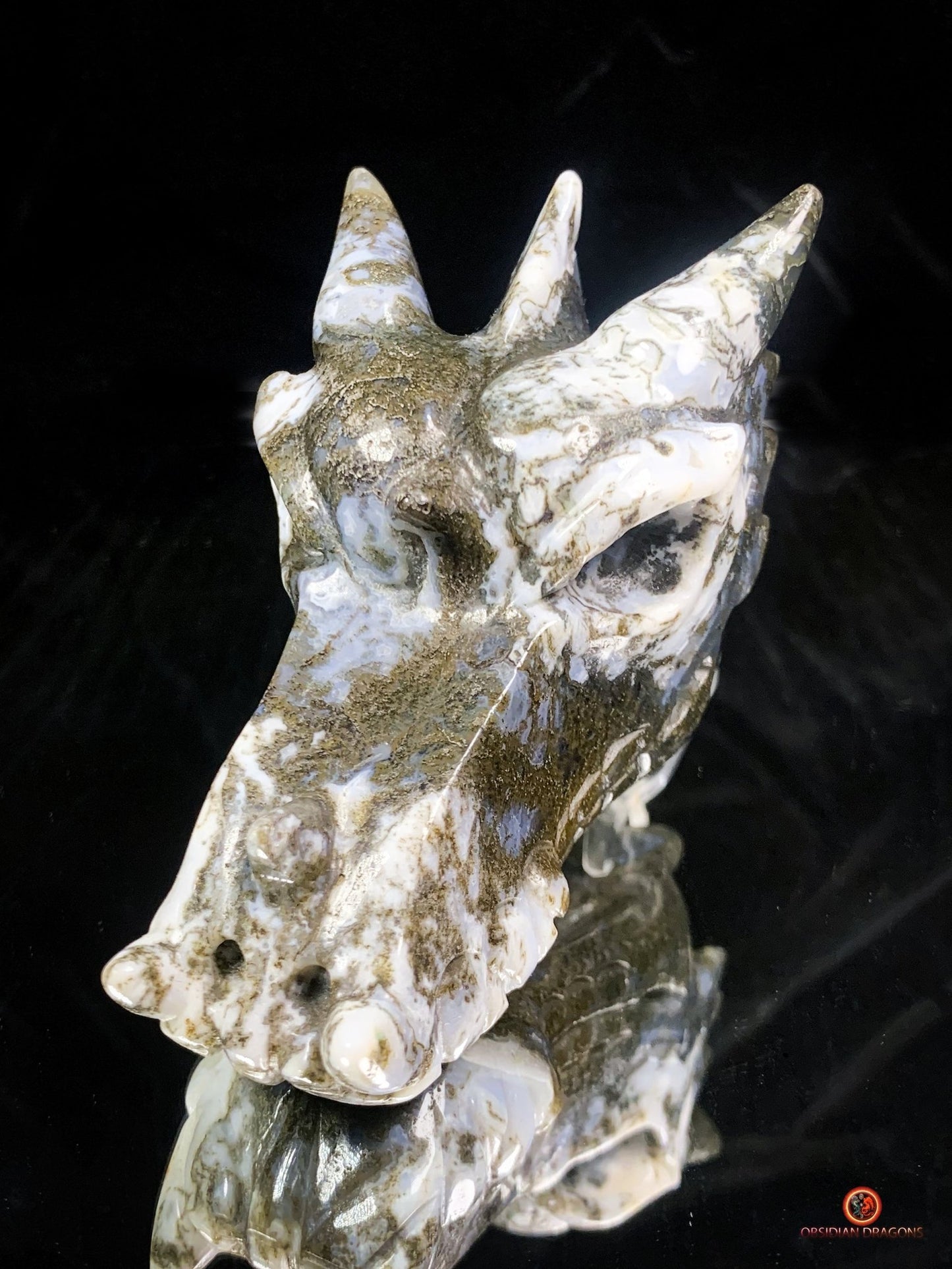 Crâne de Dragon en Agate Mousse - Transformation et Harmonie | obsidian dragons