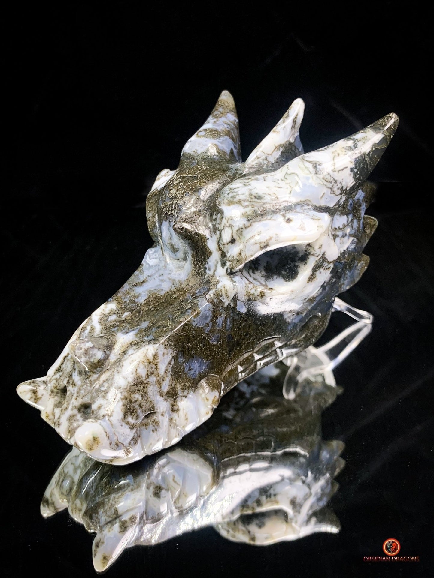 Crâne de Dragon en Agate Mousse - Transformation et Harmonie | obsidian dragons