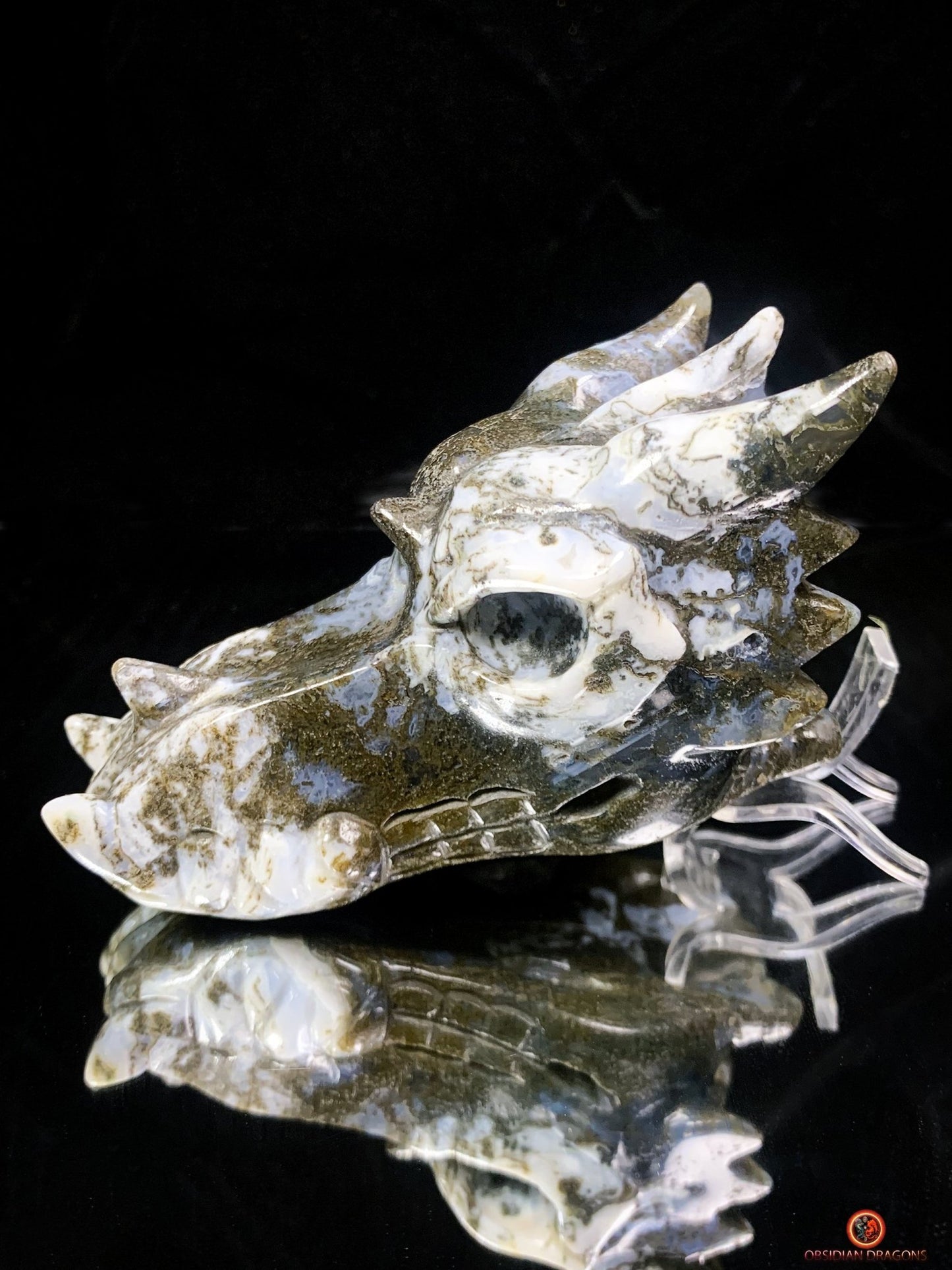 Crâne de Dragon en Agate Mousse - Transformation et Harmonie | obsidian dragons