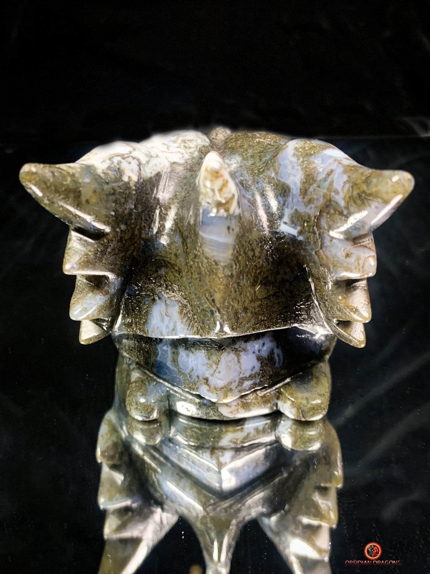 Crâne de Dragon en Agate Mousse - Transformation et Harmonie | obsidian dragons