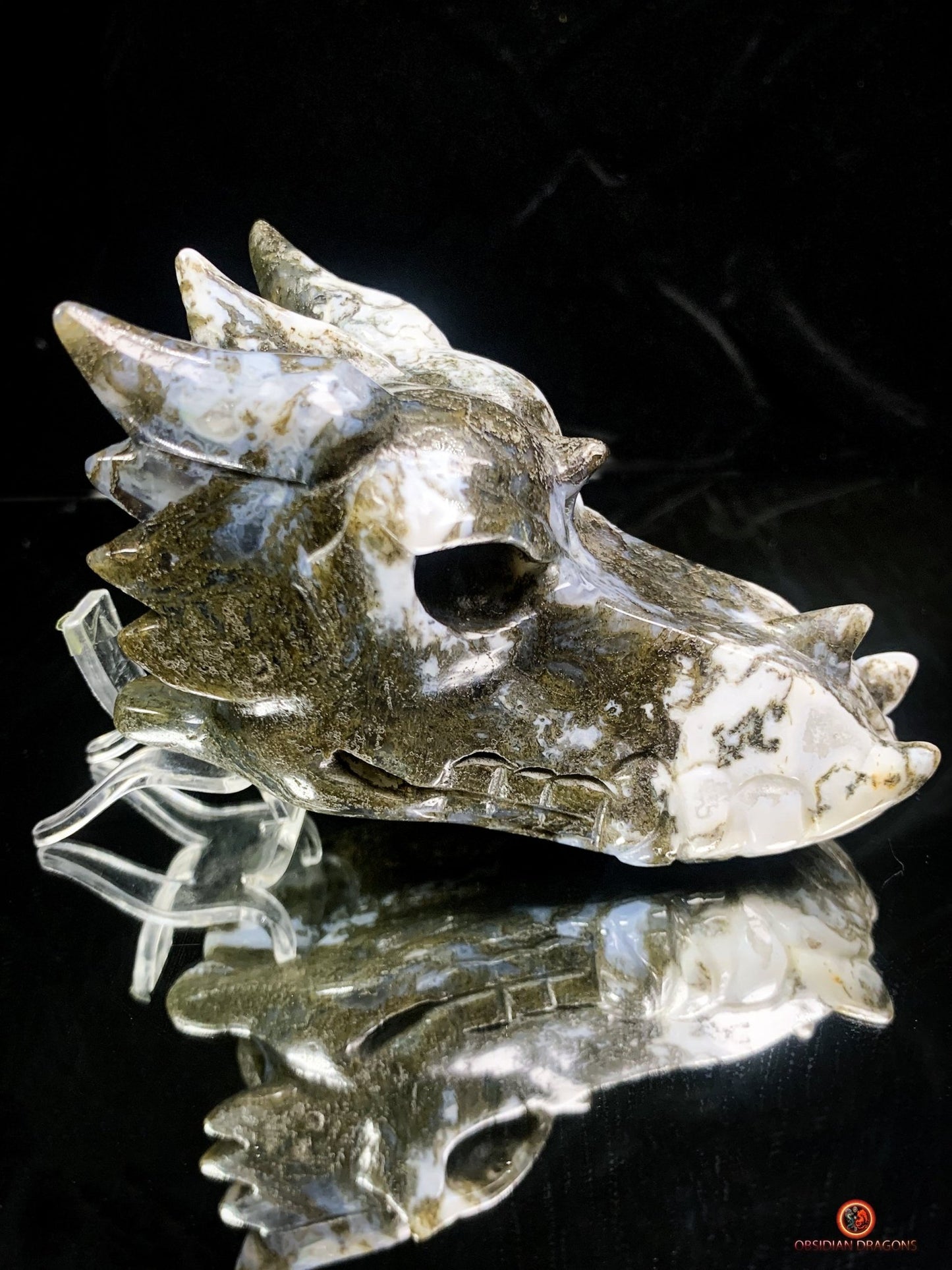 Crâne de Dragon en Agate Mousse - Transformation et Harmonie | obsidian dragons