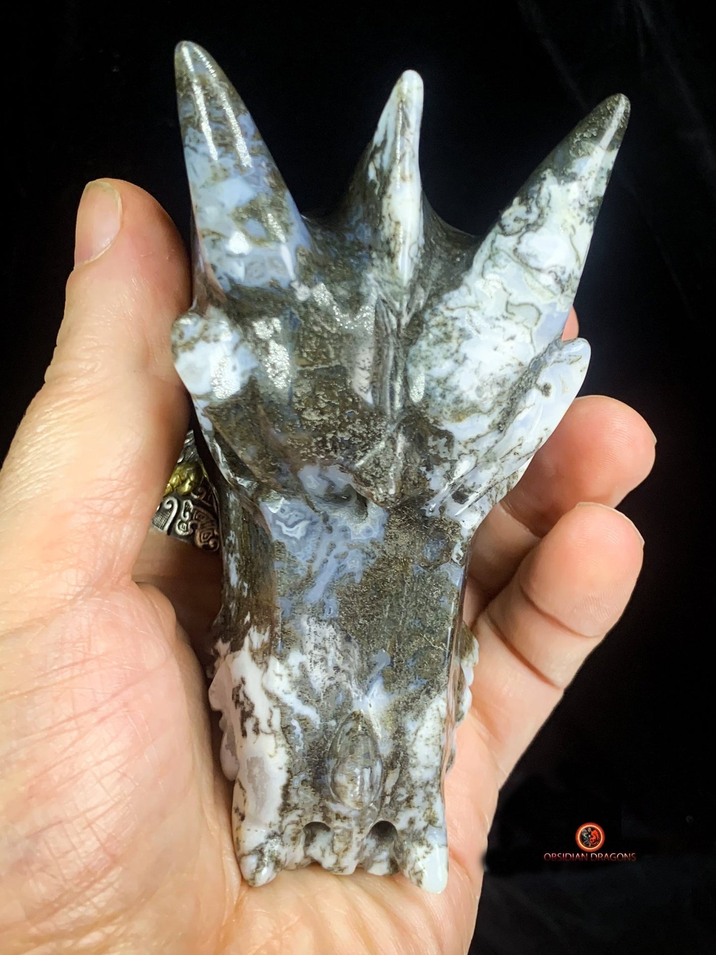 Crâne de Dragon en Agate Mousse - Transformation et Harmonie | obsidian dragons