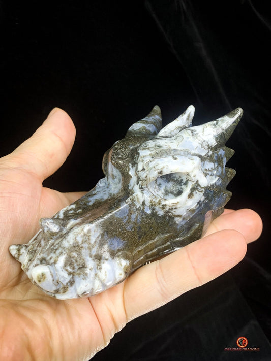 Crâne de Dragon en Agate Mousse - Transformation et Harmonie | obsidian dragons