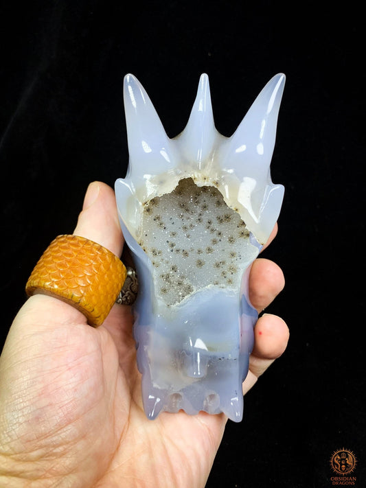 Crâne de Dragon en Calcédoine- Géode- Veilleur d'Étoiles | obsidian dragons