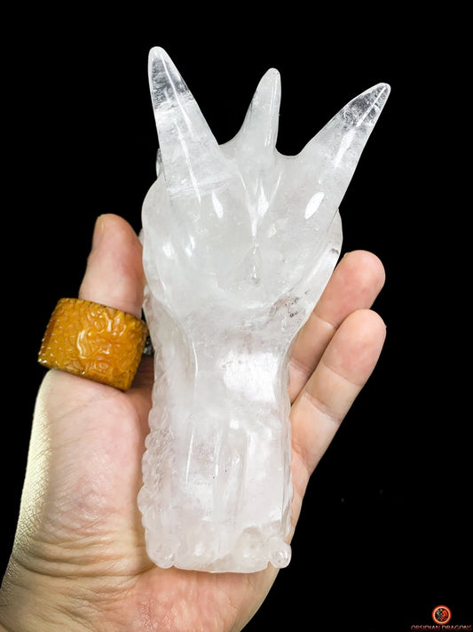 Crâne de Dragon en Cristal de Roche – Clarté Première | obsidian dragons