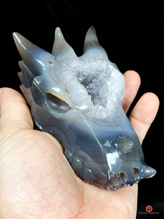 Crâne de Dragon en Géode - Puissance et Spiritualité | obsidian dragons