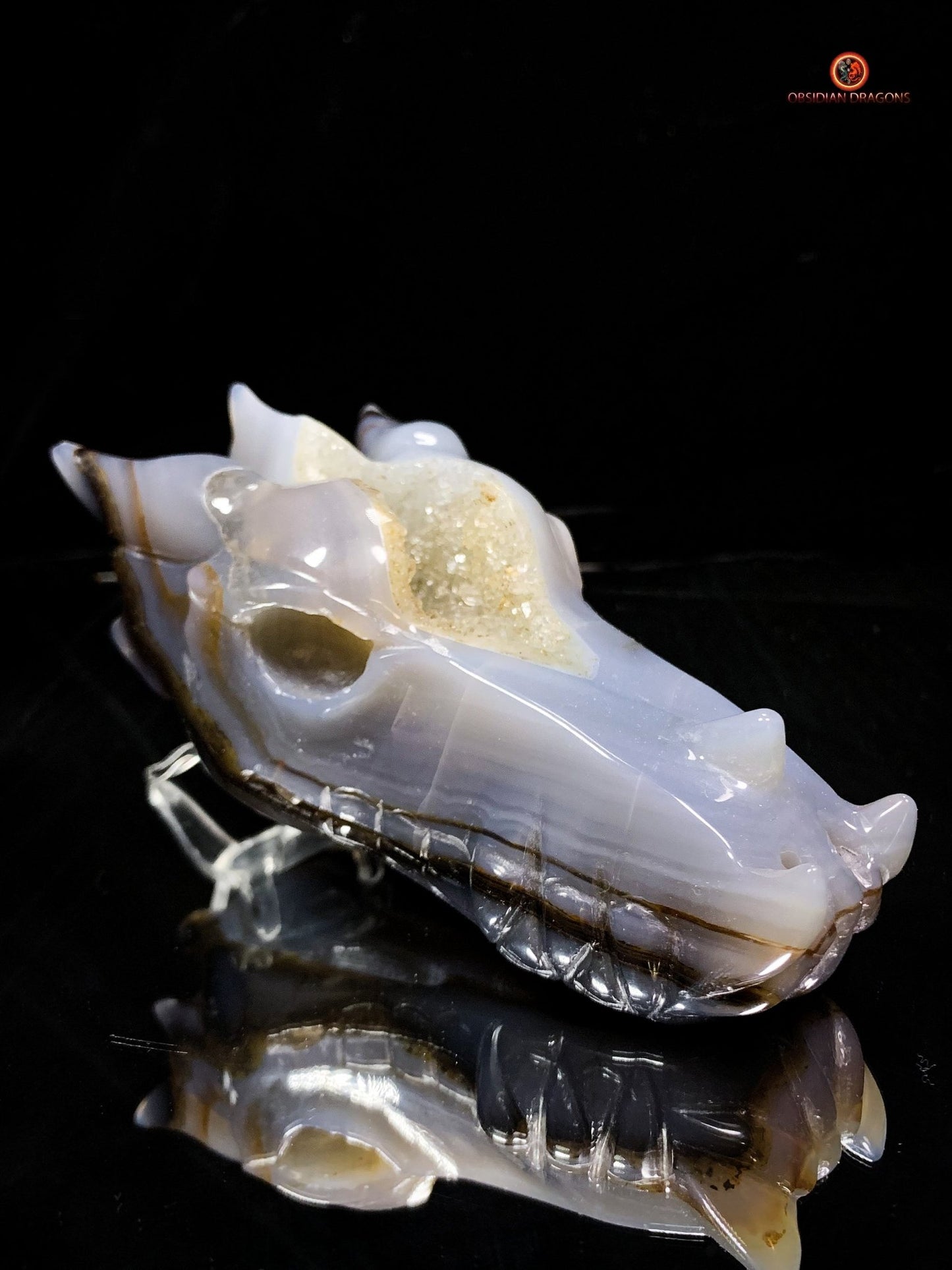 Crâne de Dragon en Géode de Quartz Citrine - Énergie et Lumière | obsidian dragons