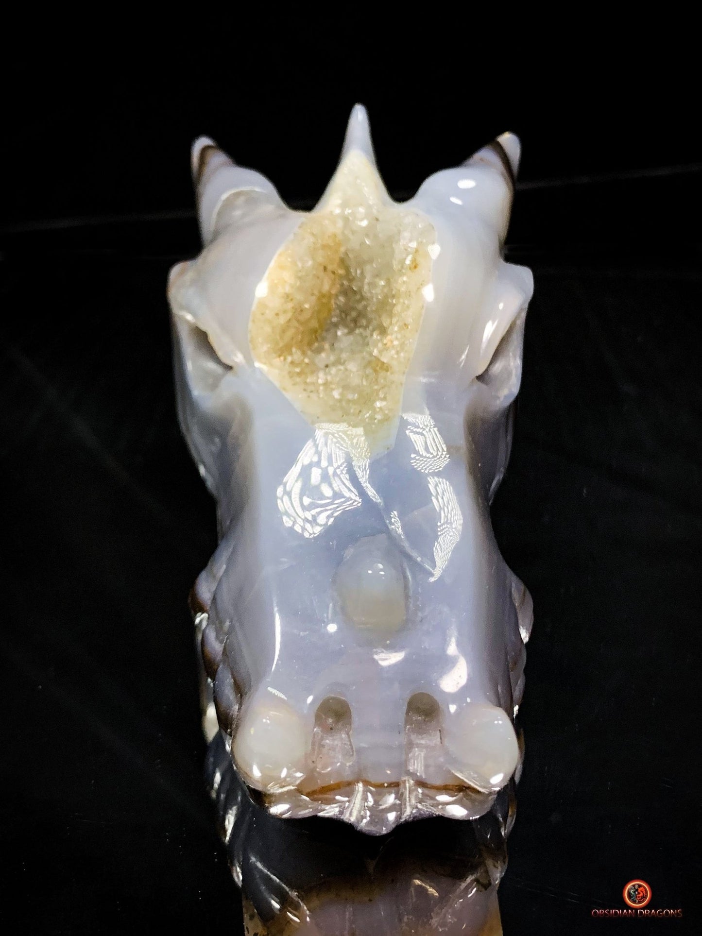 Crâne de Dragon en Géode de Quartz Citrine - Énergie et Lumière | obsidian dragons