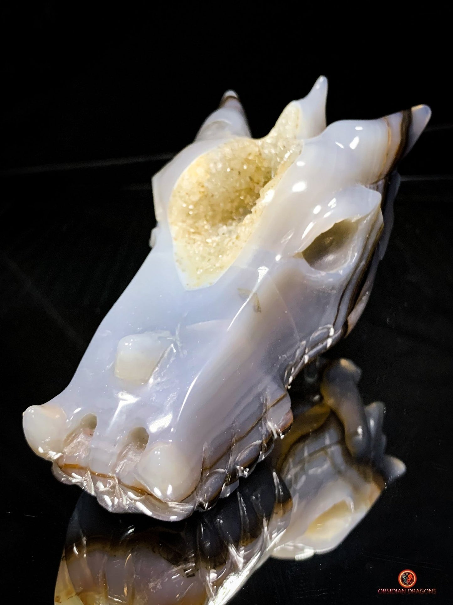 Crâne de Dragon en Géode de Quartz Citrine - Énergie et Lumière | obsidian dragons