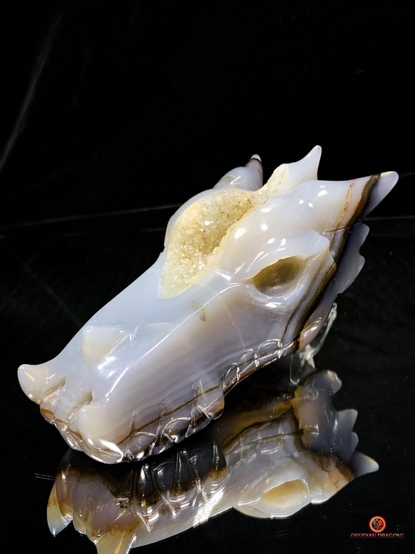 Crâne de Dragon en Géode de Quartz Citrine - Énergie et Lumière | obsidian dragons