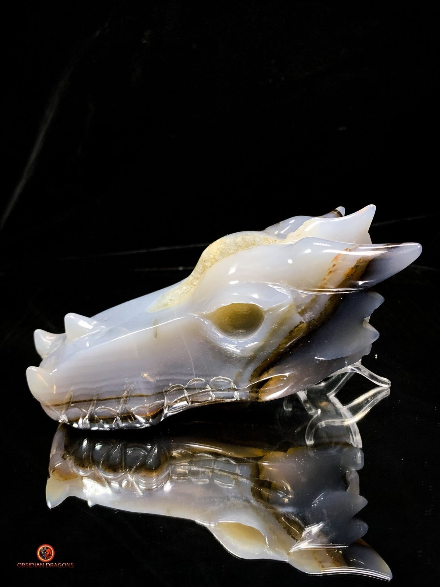 Crâne de Dragon en Géode de Quartz Citrine - Énergie et Lumière | obsidian dragons