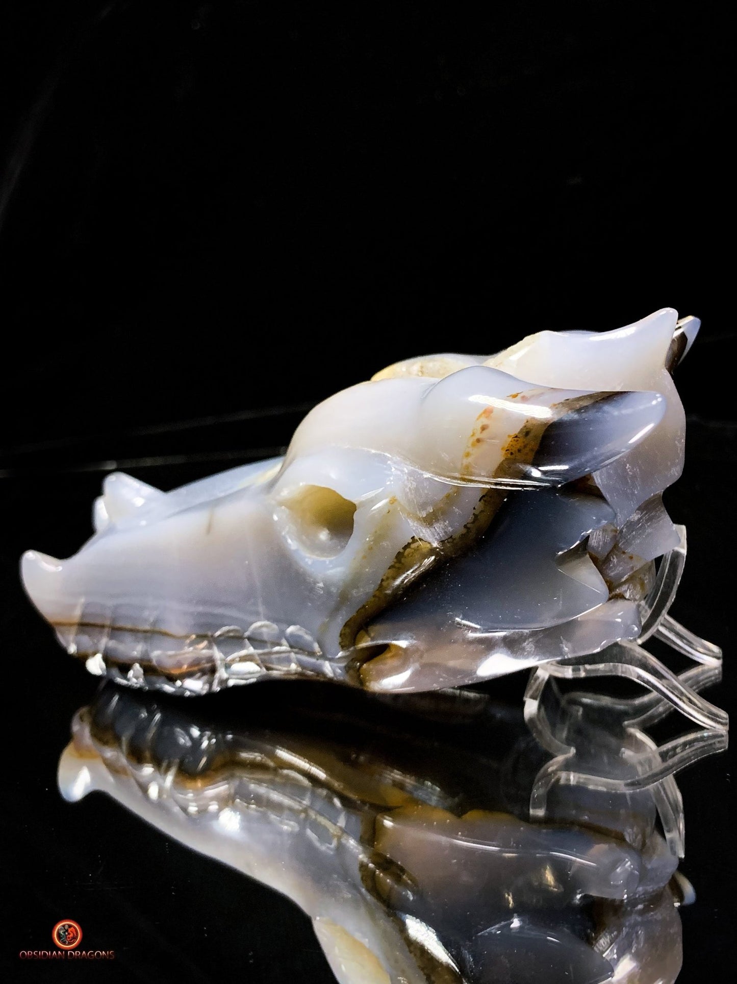 Crâne de Dragon en Géode de Quartz Citrine - Énergie et Lumière | obsidian dragons