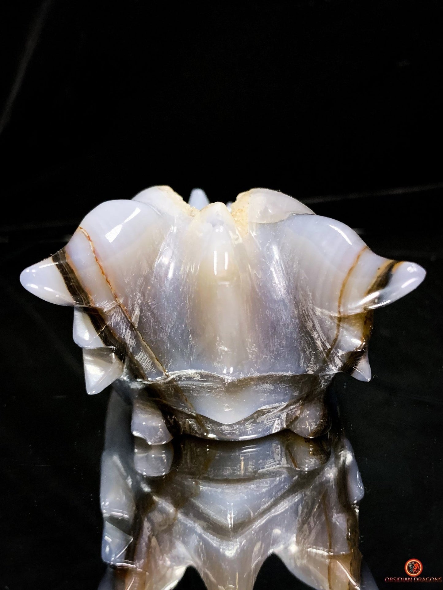 Crâne de Dragon en Géode de Quartz Citrine - Énergie et Lumière | obsidian dragons
