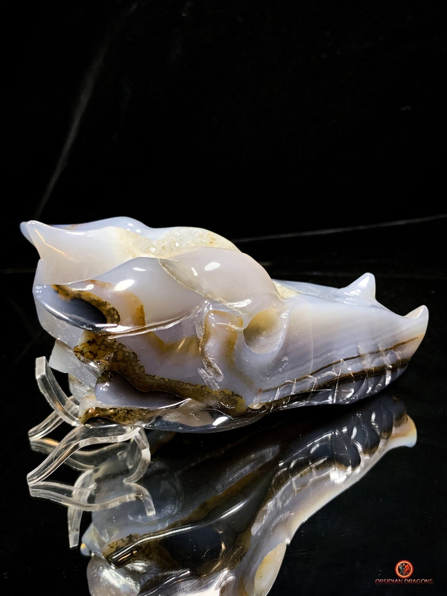 Crâne de Dragon en Géode de Quartz Citrine - Énergie et Lumière - obsidian dragons