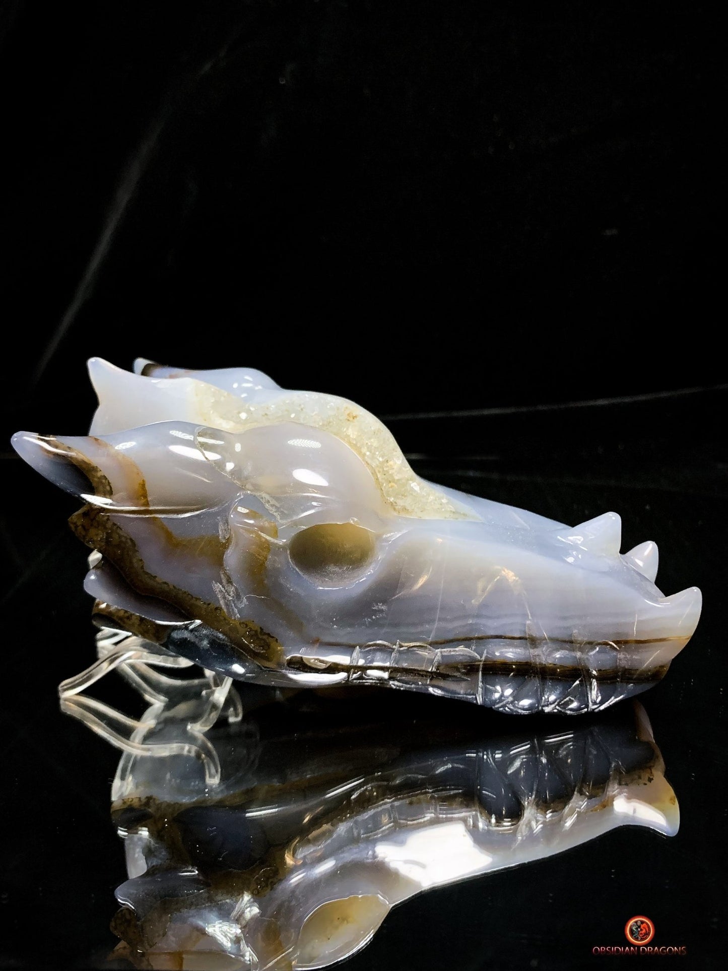 Crâne de Dragon en Géode de Quartz Citrine - Énergie et Lumière - obsidian dragons
