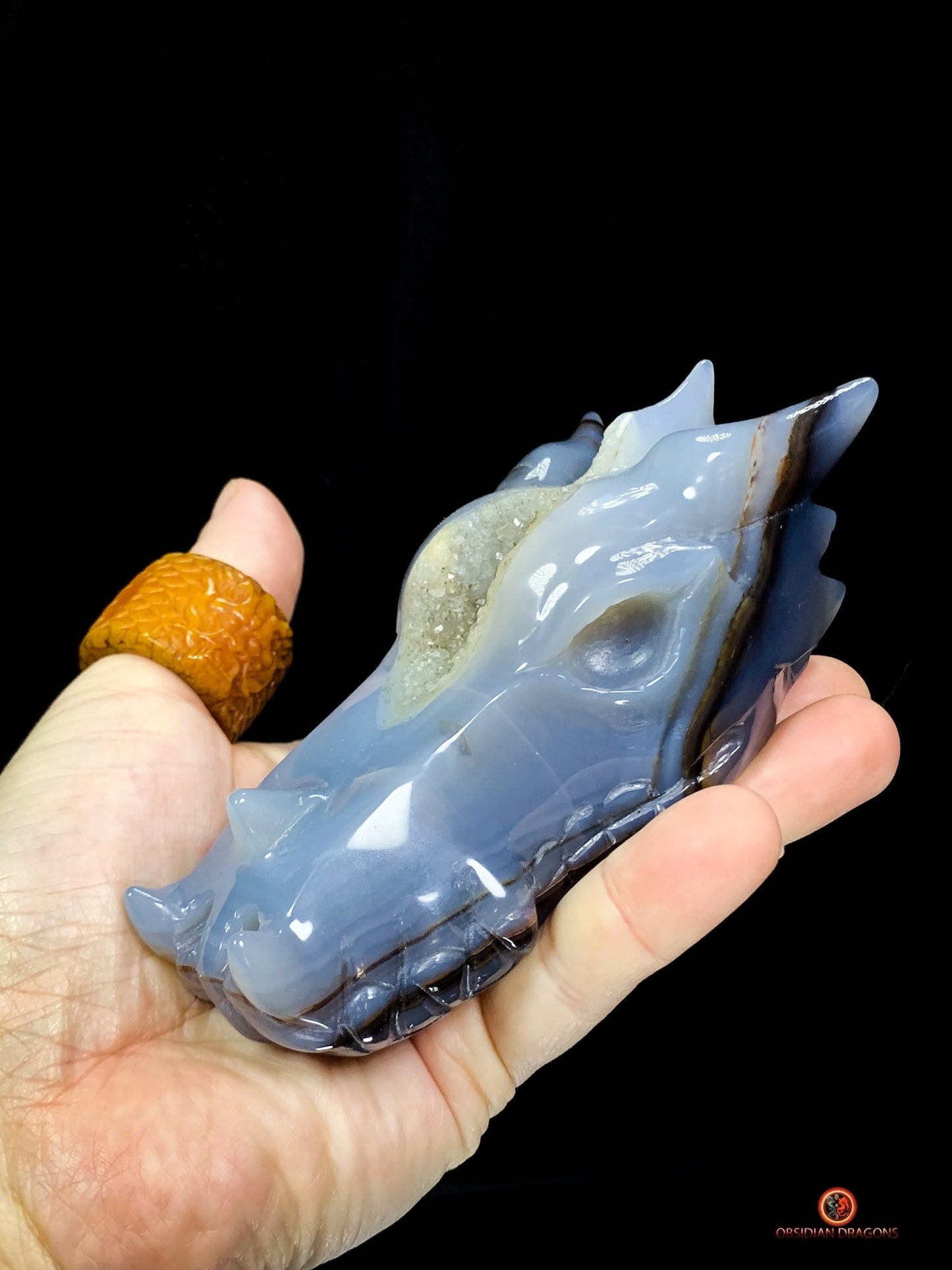 Crâne de Dragon en Géode de Quartz Citrine - Énergie et Lumière | obsidian dragons