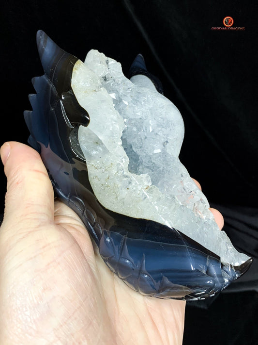 Crâne de Dragon en Géode de Quartz - Connexion draconique | obsidian dragons
