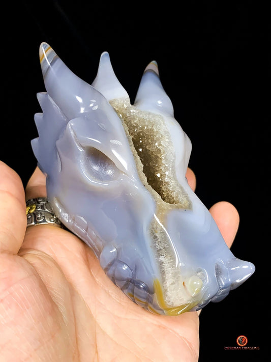 Crâne de Dragon en Géode de Quartz - Éveil Énergétique | obsidian dragons