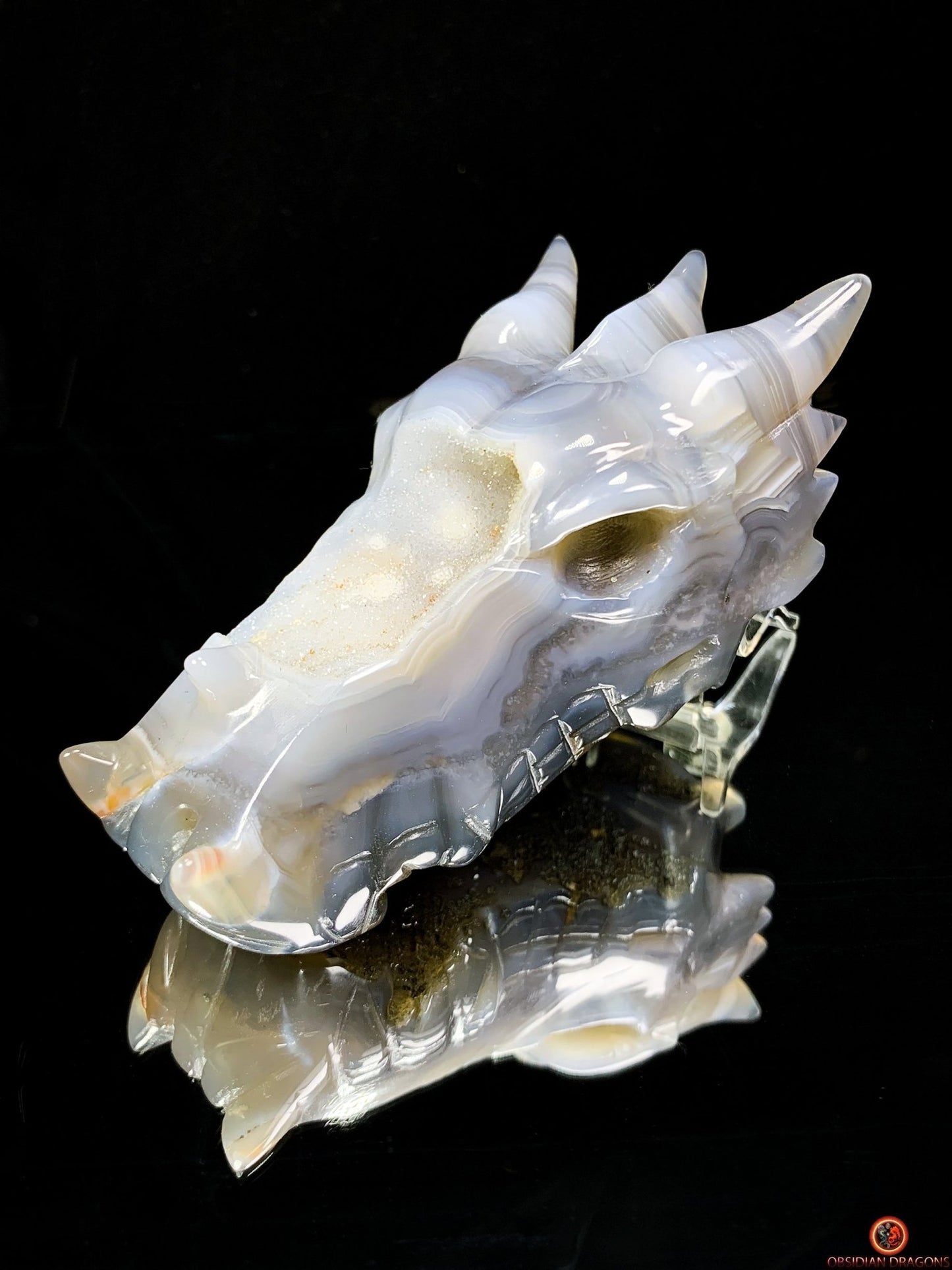 Crâne de Dragon en Géode de Quartz – Gardien des Brumes | obsidian dragons