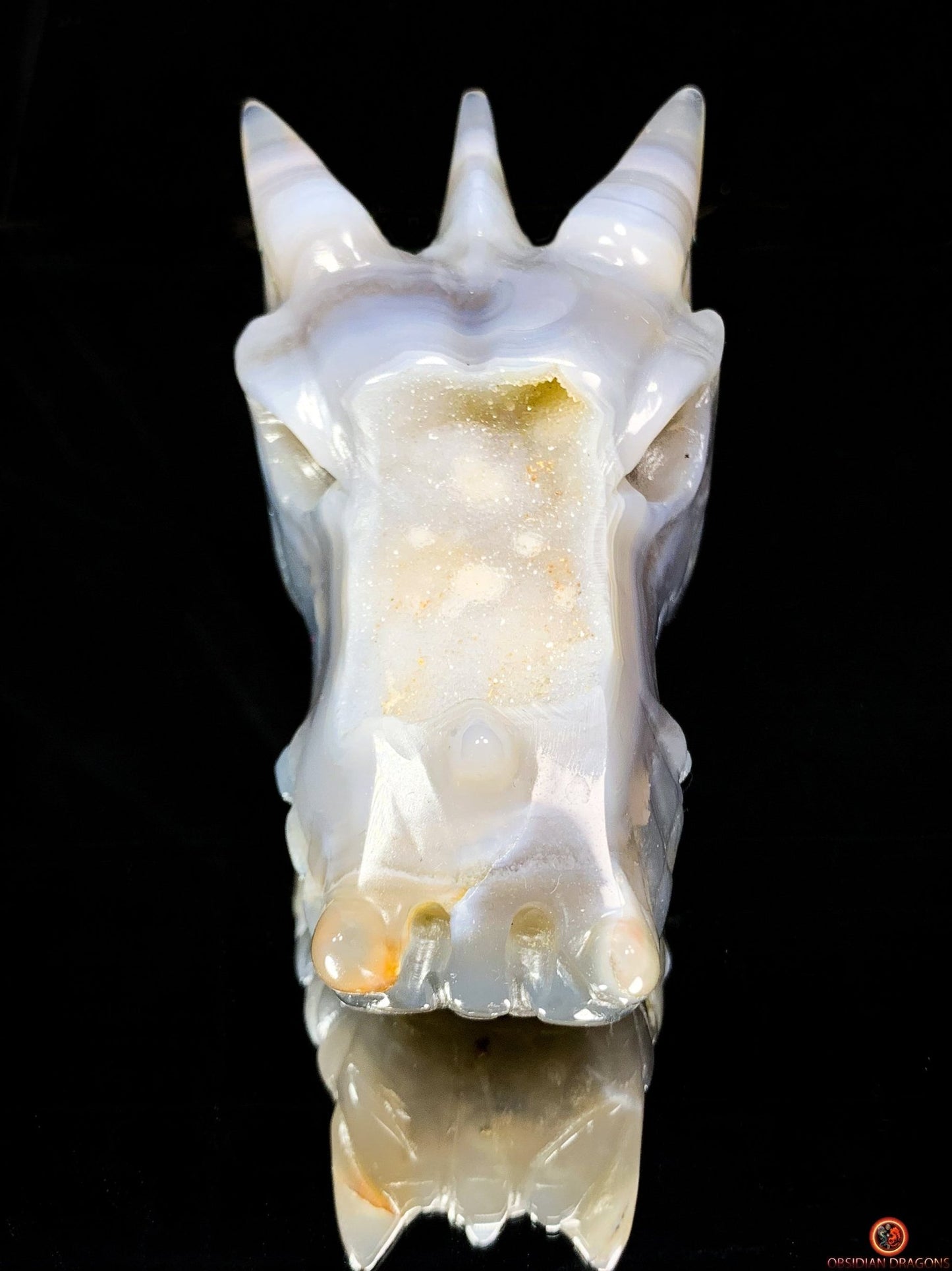 Crâne de Dragon en Géode de Quartz – Gardien des Brumes | obsidian dragons