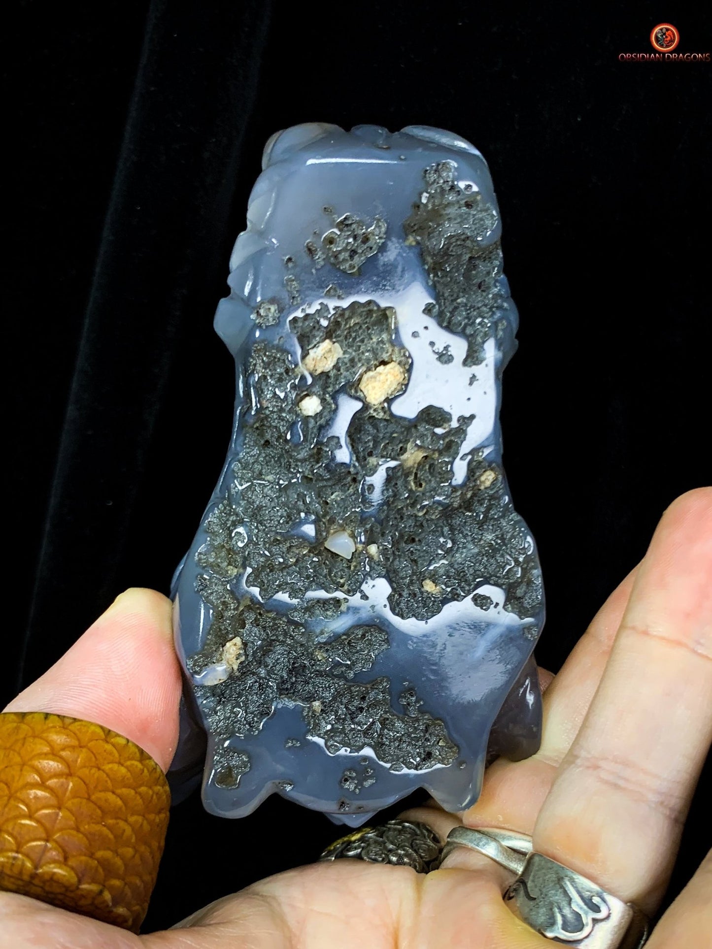 Crâne de Dragon en Géode de Quartz – Gardien des Brumes | obsidian dragons