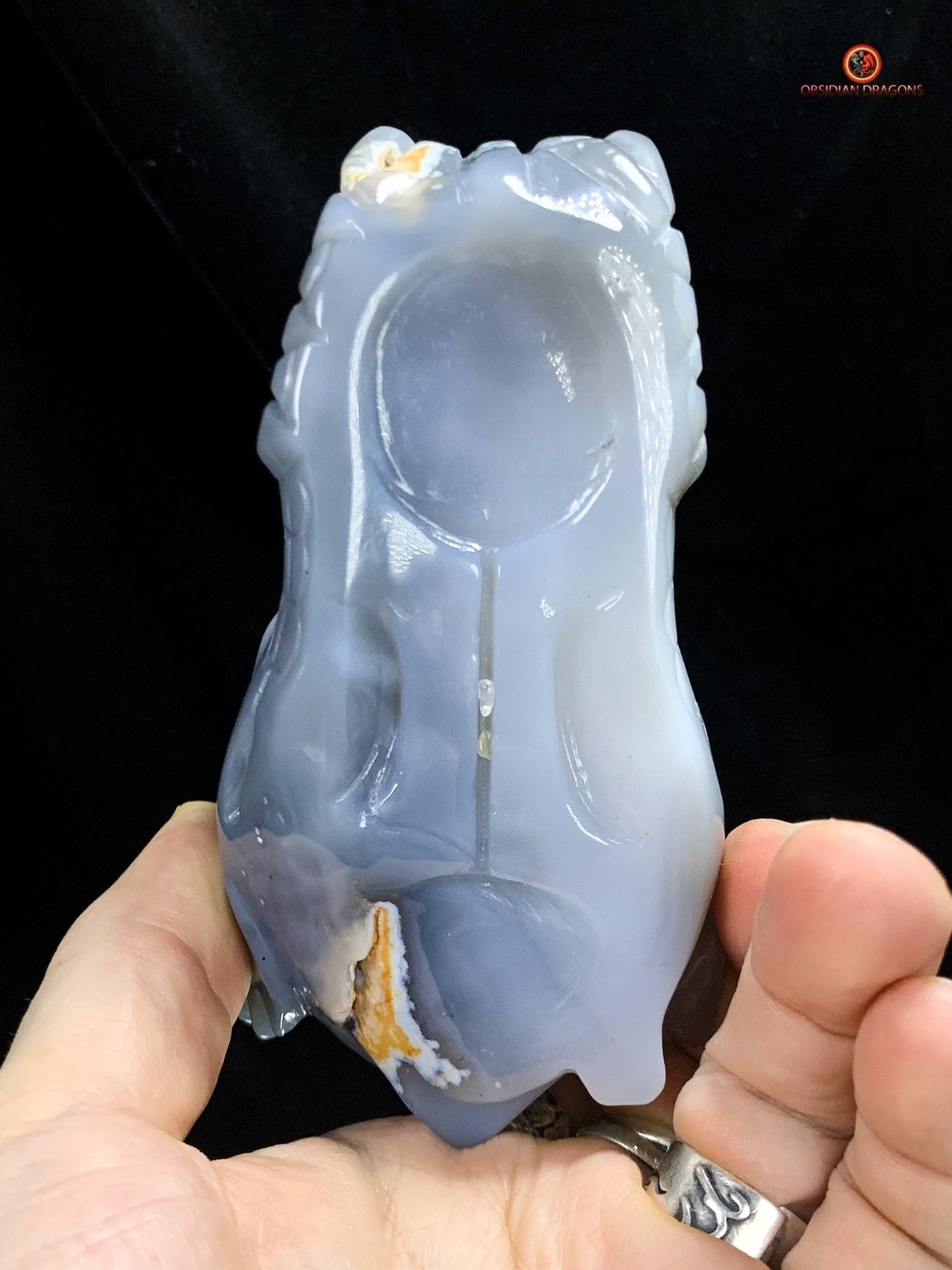 Crâne de Dragon en Géode de Quartz – Harmonie et Énergies | obsidian dragons
