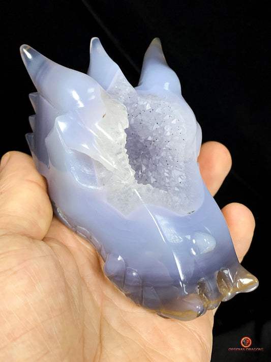 Crâne de Dragon en Géode de Quartz - Mystique Draconique | obsidian dragons