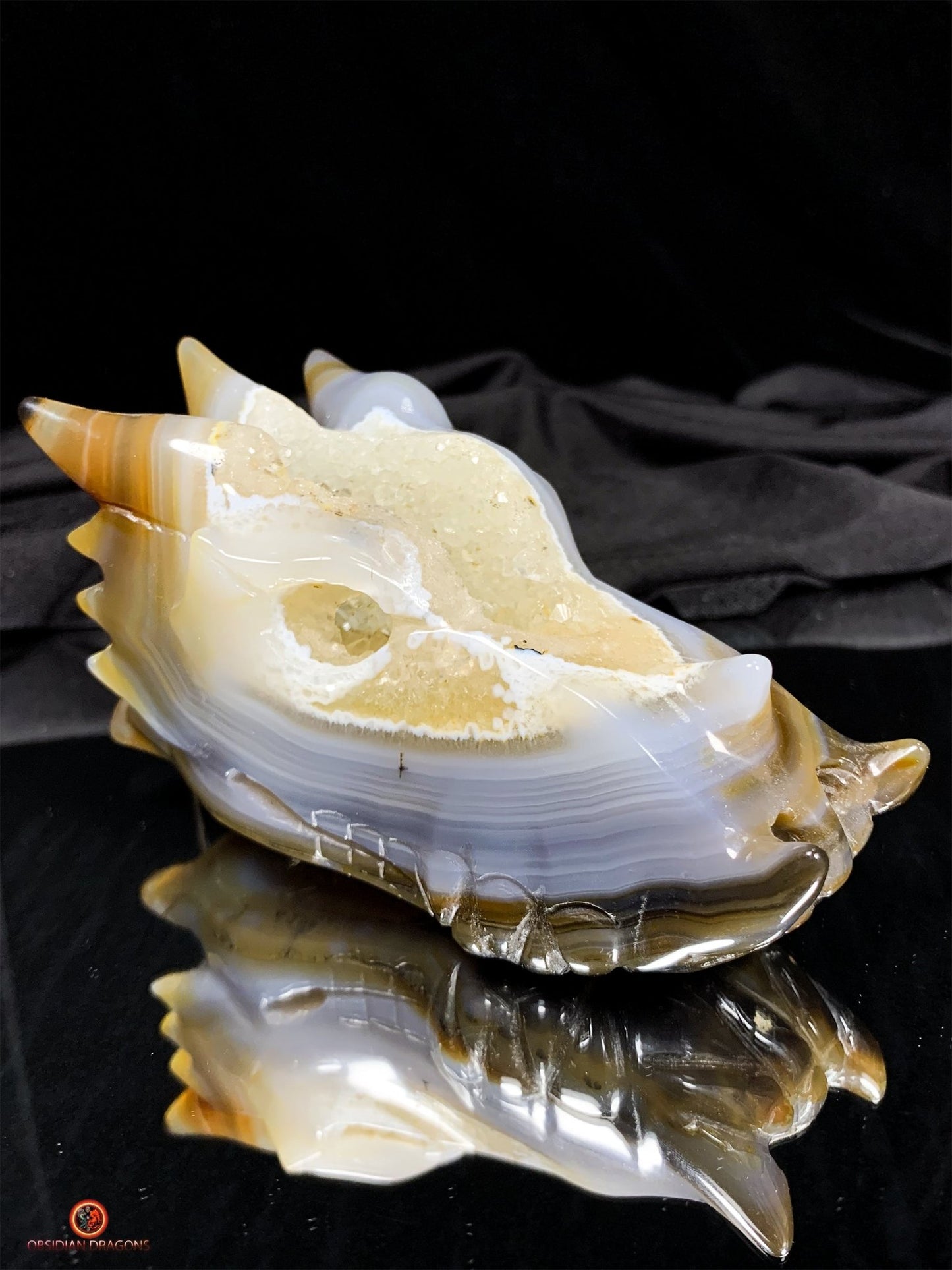 Crâne de Dragon en Géode – Puissance draconique | obsidian dragons