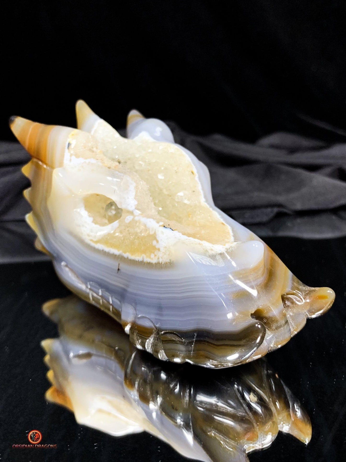 Crâne de Dragon en Géode – Puissance draconique | obsidian dragons