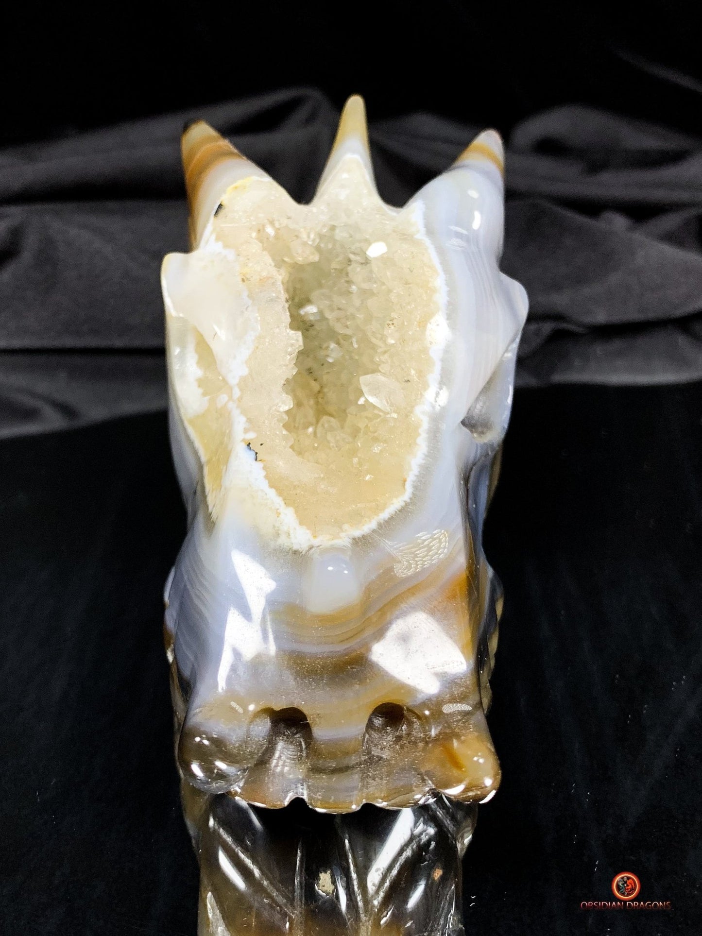 Crâne de Dragon en Géode – Puissance draconique | obsidian dragons