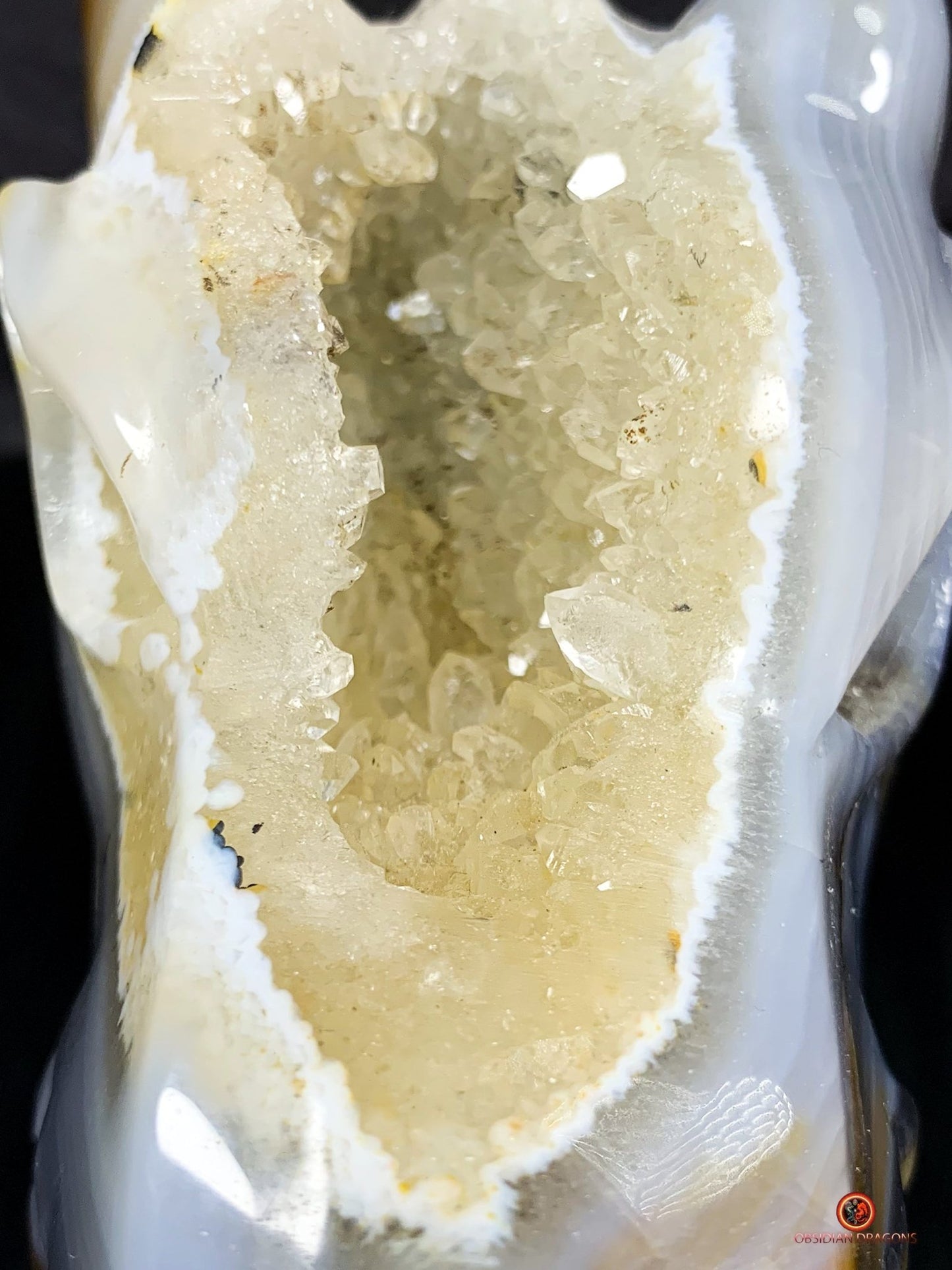 Crâne de Dragon en Géode – Puissance draconique | obsidian dragons