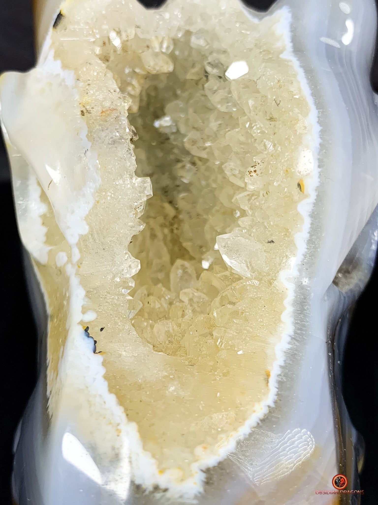 Crâne de Dragon en Géode – Puissance draconique | obsidian dragons