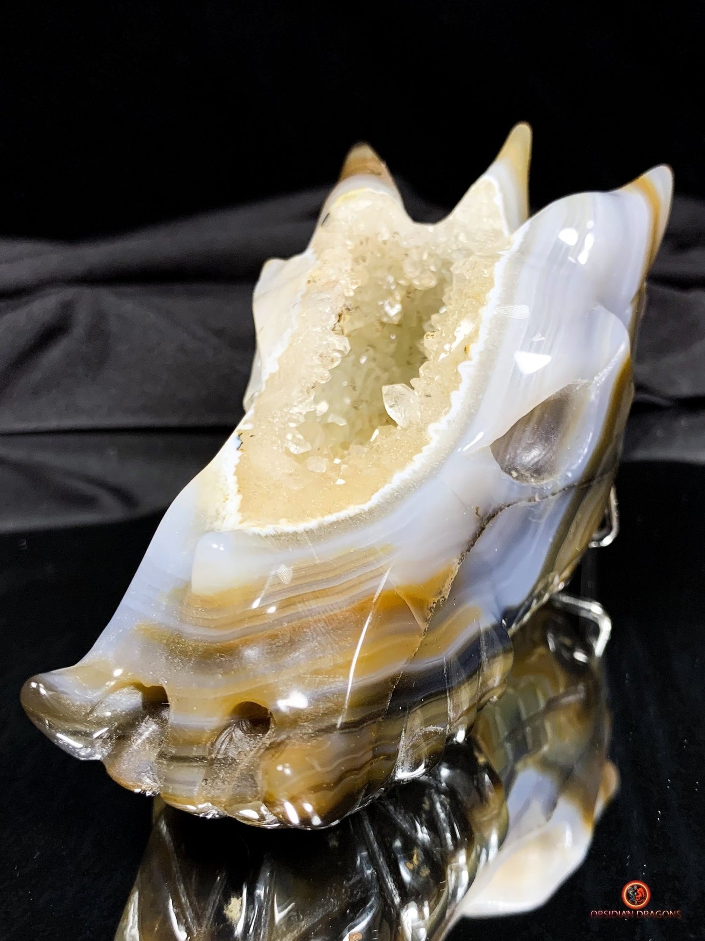 Crâne de Dragon en Géode – Puissance draconique | obsidian dragons