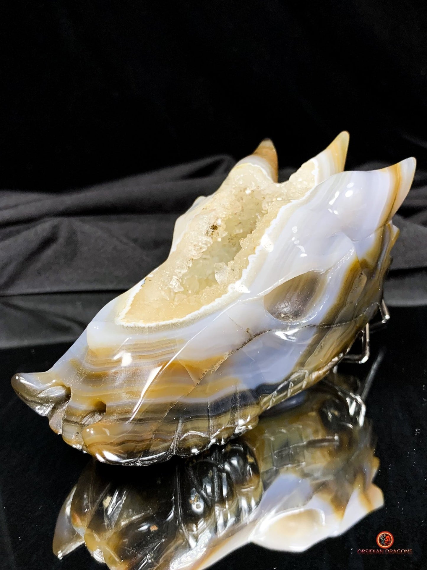 Crâne de Dragon en Géode – Puissance draconique | obsidian dragons