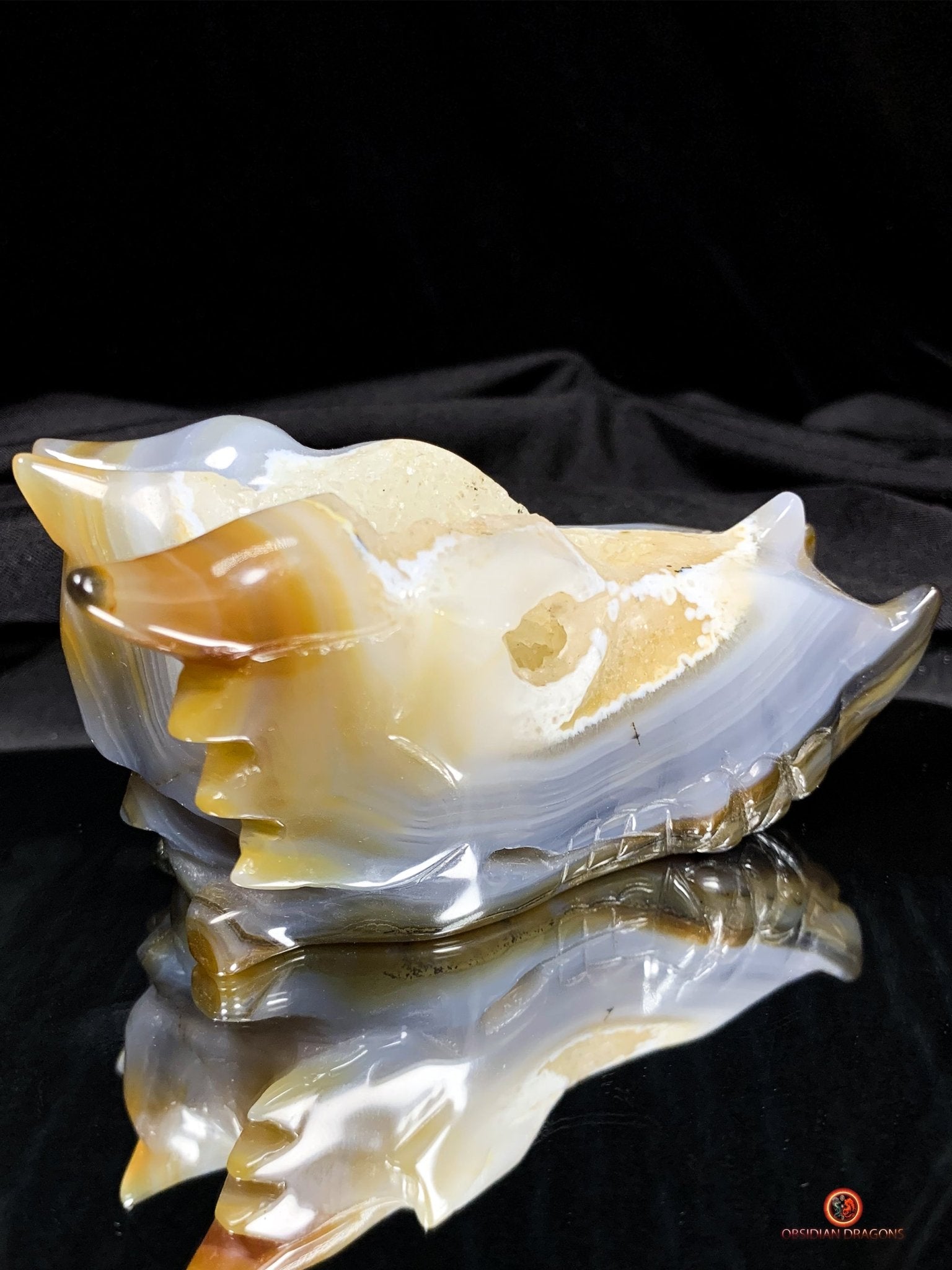 Crâne de Dragon en Géode – Puissance draconique | obsidian dragons