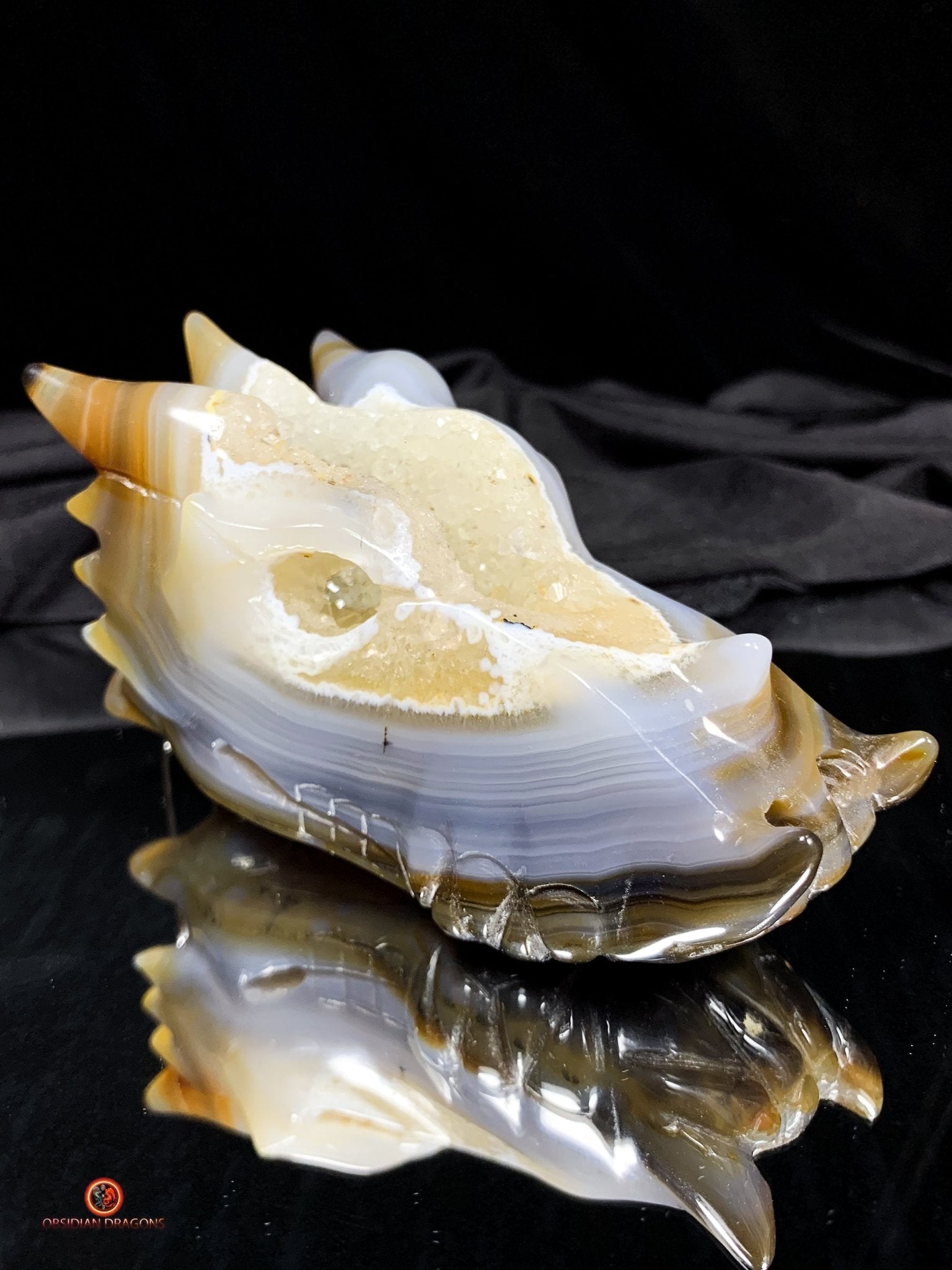 Crâne de Dragon en Géode – Puissance draconique | obsidian dragons