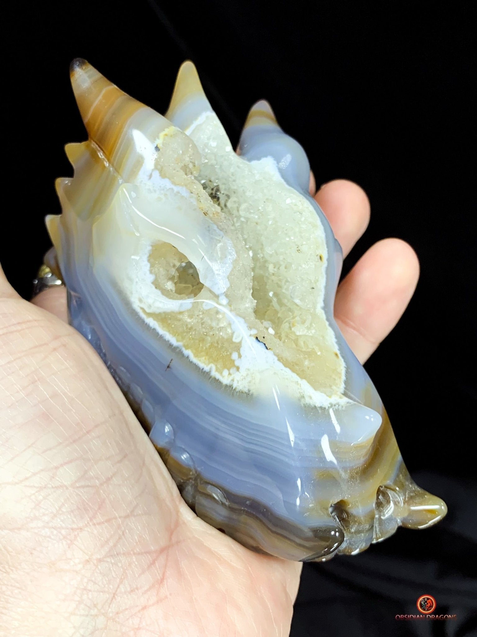 Crâne de Dragon en Géode – Puissance draconique | obsidian dragons