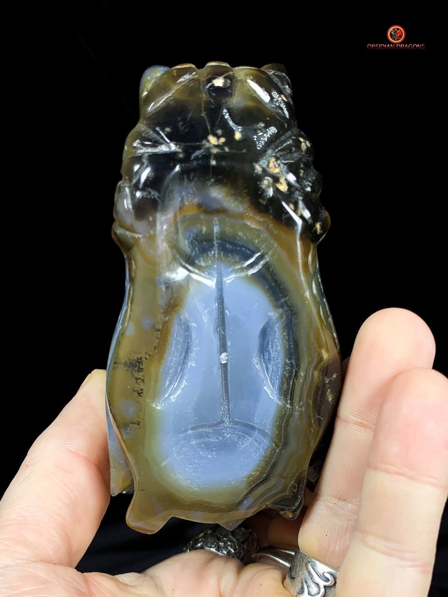 Crâne de Dragon en Géode – Puissance draconique | obsidian dragons