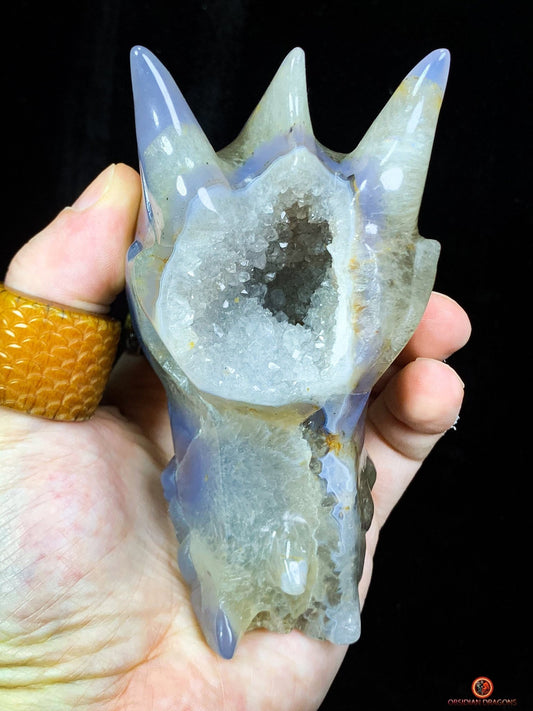 Crâne de Dragon en Géode de Quartz – Reflets de Sagesse | obsidian dragons