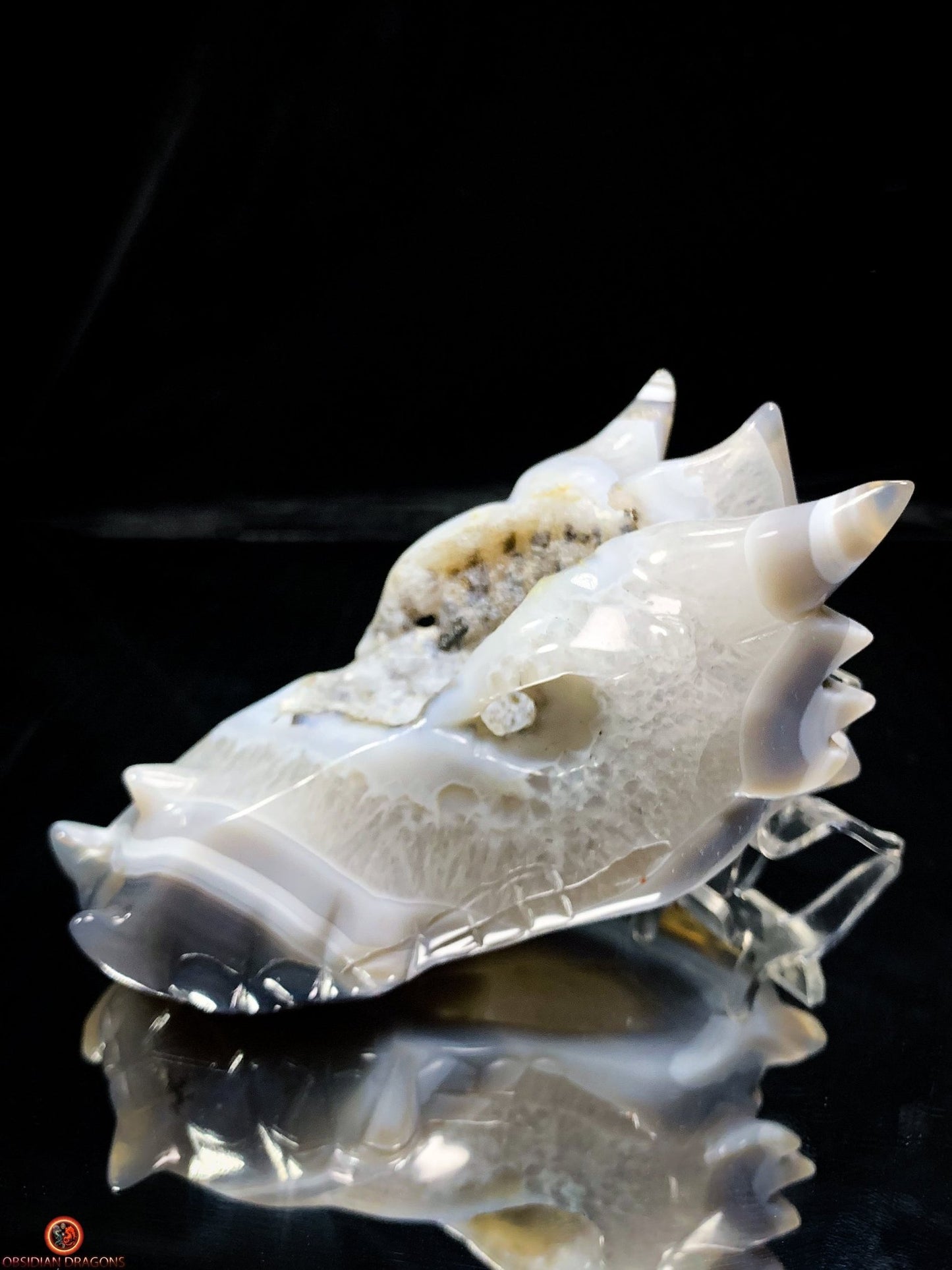Crâne de Dragon en Géode de Quartz et Agate – Énergie Pure | obsidian dragons