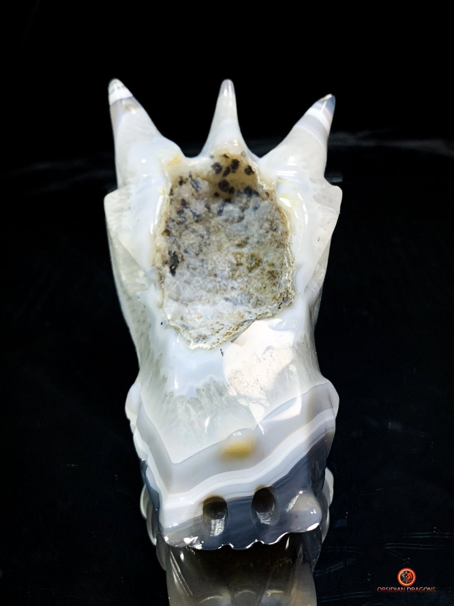 Crâne de Dragon en Géode de Quartz et Agate – Énergie Pure | obsidian dragons