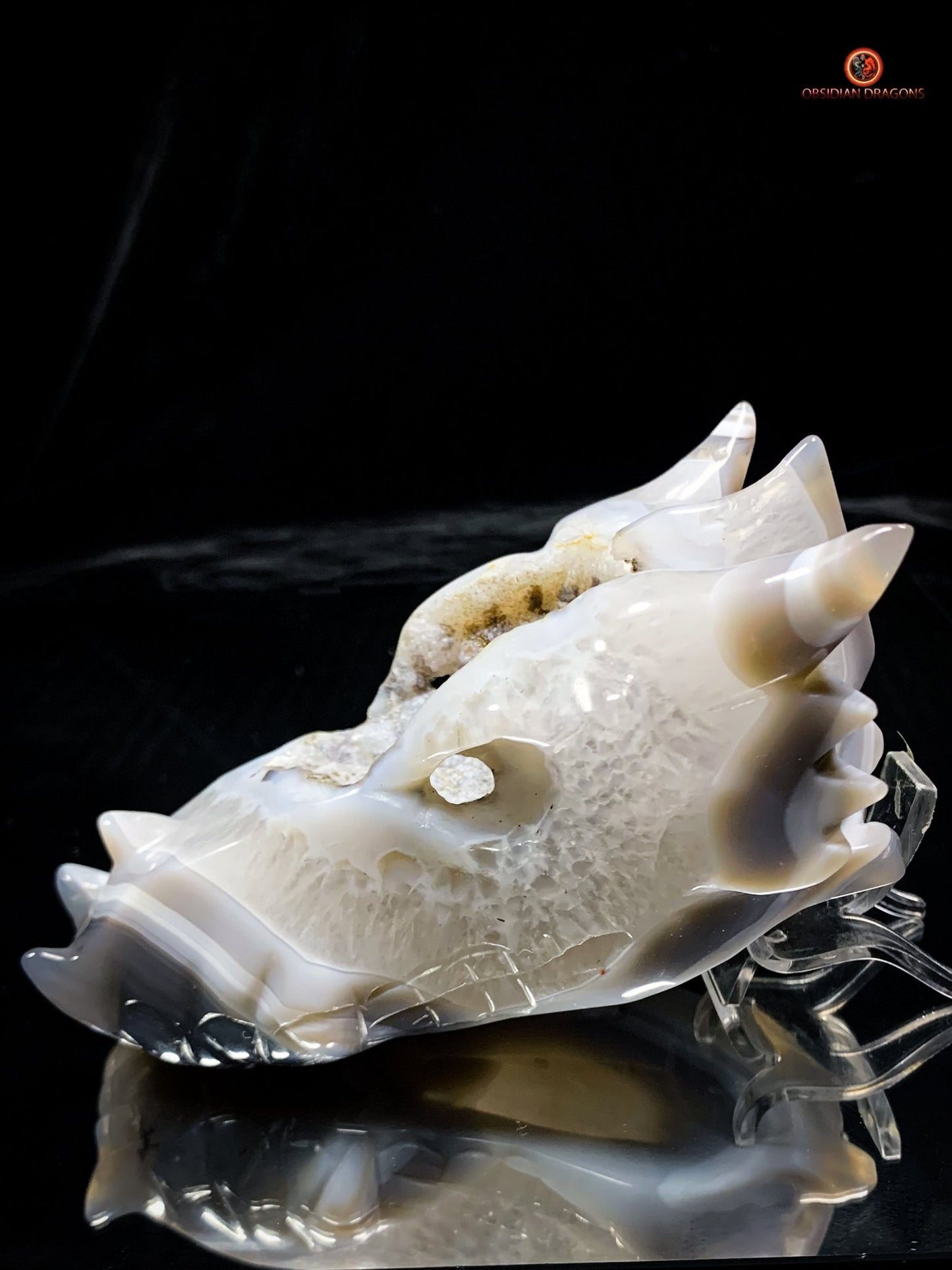 Crâne de Dragon en Géode de Quartz et Agate – Énergie Pure | obsidian dragons