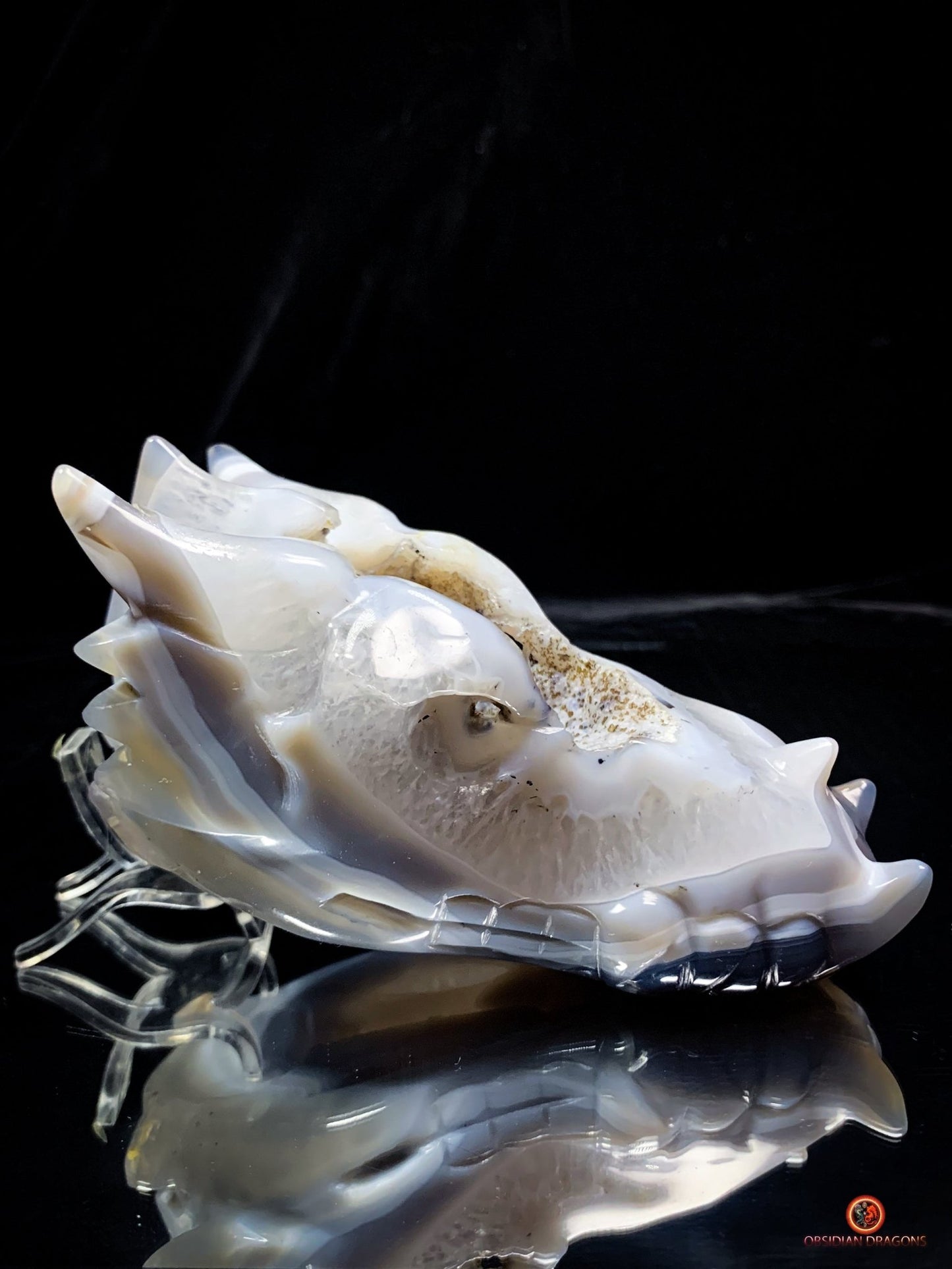Crâne de Dragon en Géode de Quartz et Agate – Énergie Pure - obsidian dragons
