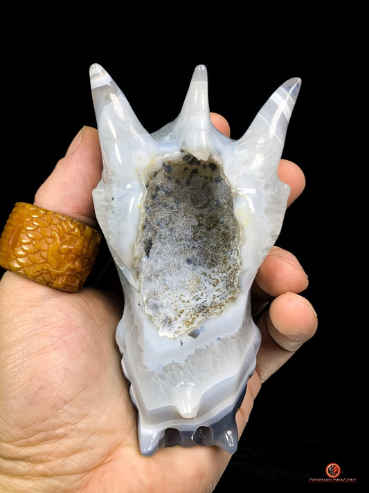 Crâne de Dragon en Géode de Quartz et Agate – Énergie Pure | obsidian dragons