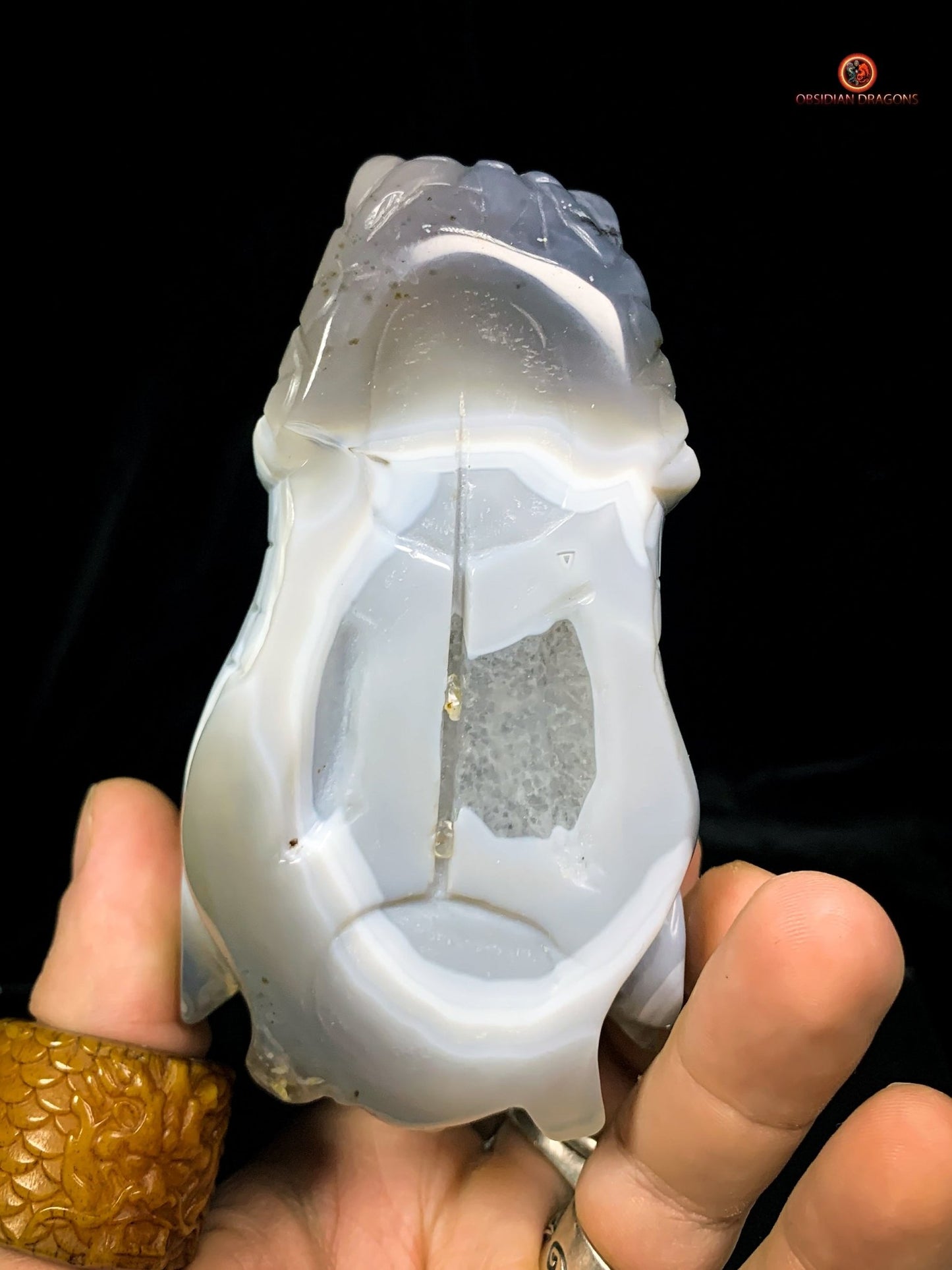 Crâne de Dragon en Géode de Quartz et Agate – Énergie Pure - obsidian dragons