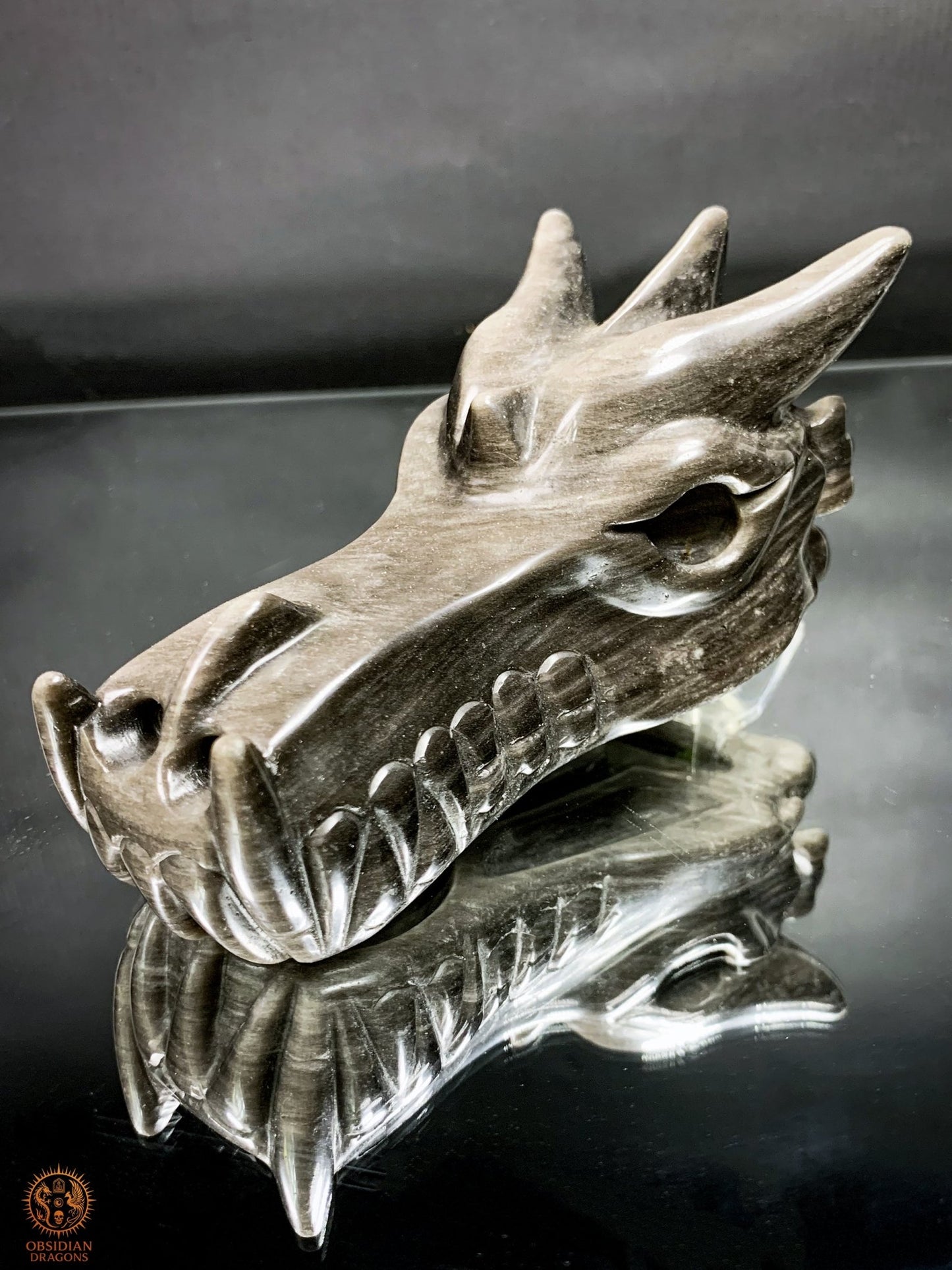 Crâne de Dragon en Obsidienne Argentée – Énergie Lunaire | obsidian dragons