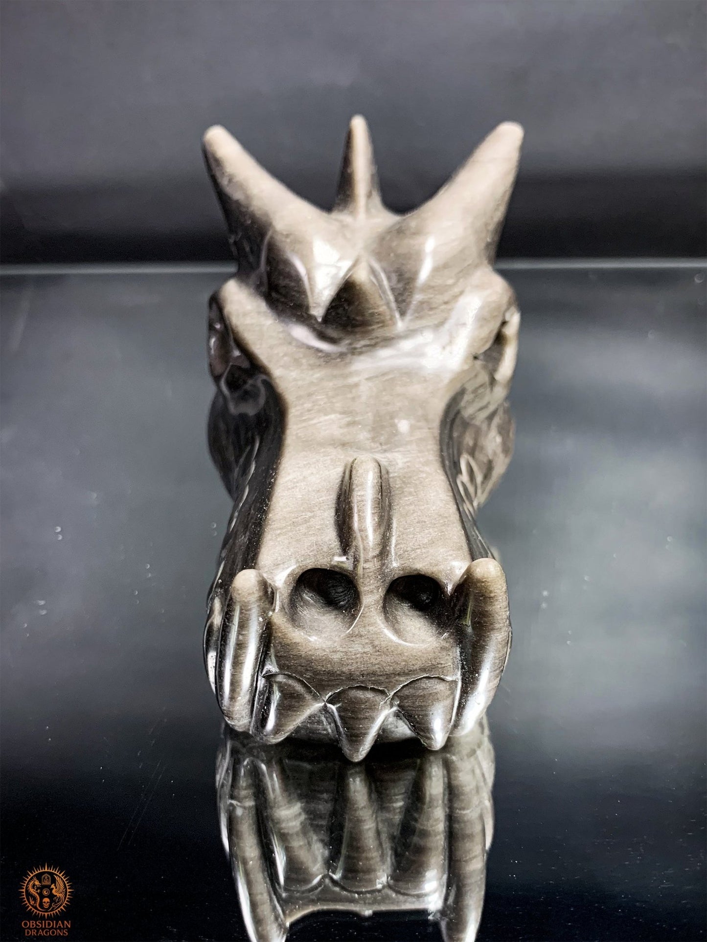 Crâne de Dragon en Obsidienne Argentée – Énergie Lunaire | obsidian dragons